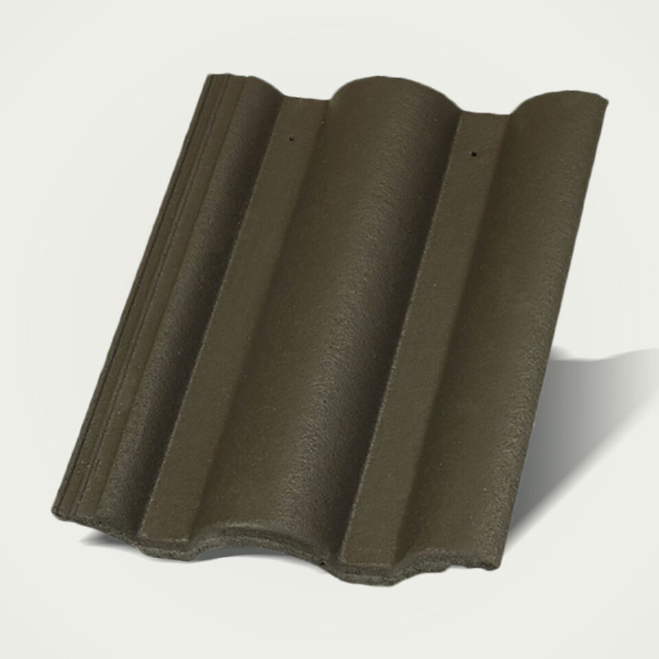 Danubia  INOVA  základná škridla antracit