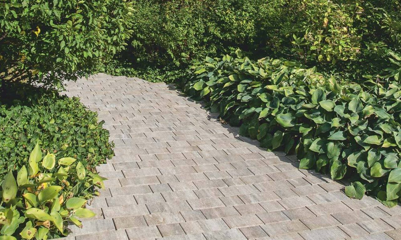 Friedl Arret S15 VG4 kombidlazba 6 cm cadic tienovany2