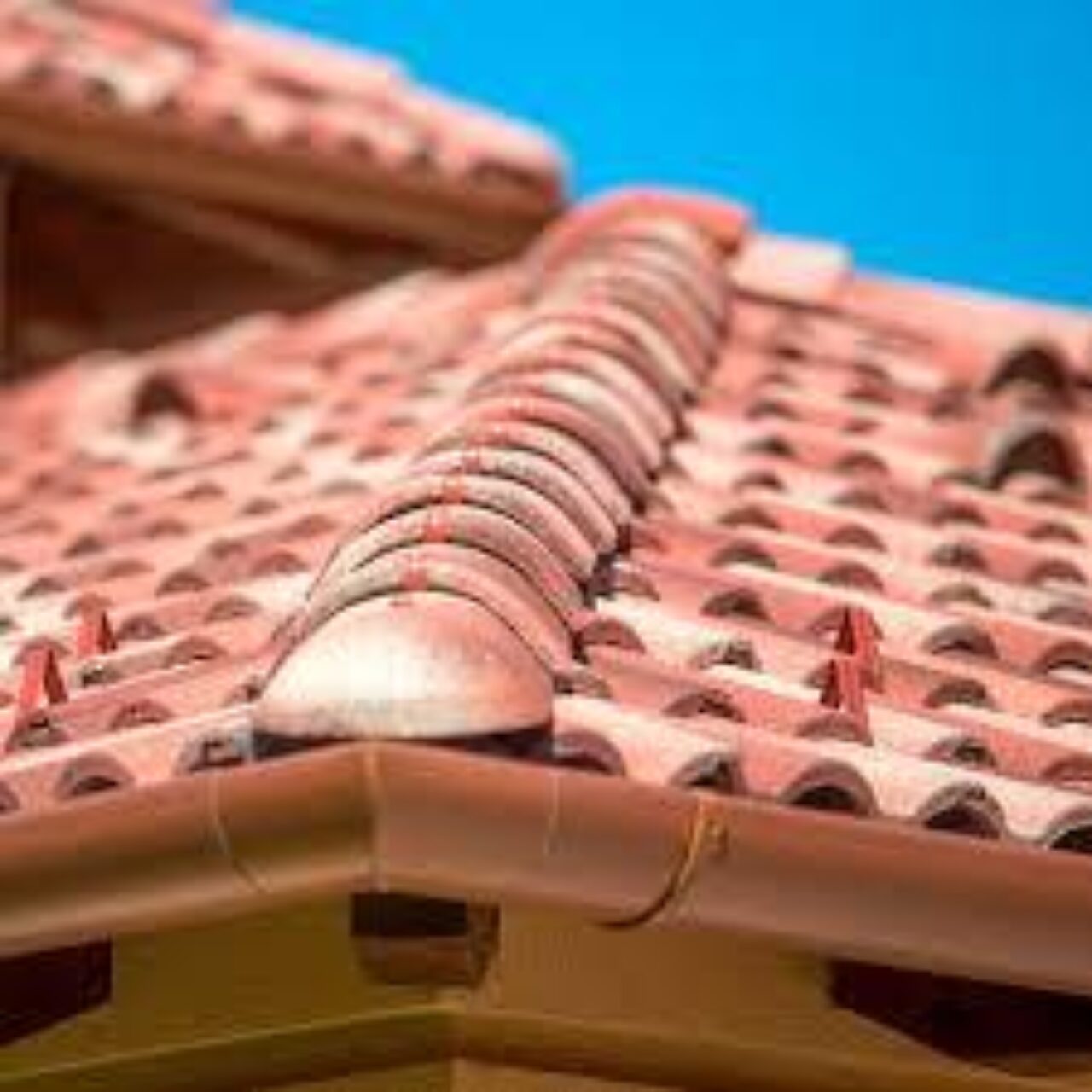 Leier Toscana Extra Palazzo na streche